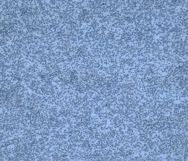 GCr15- Before vacuum oil quenching